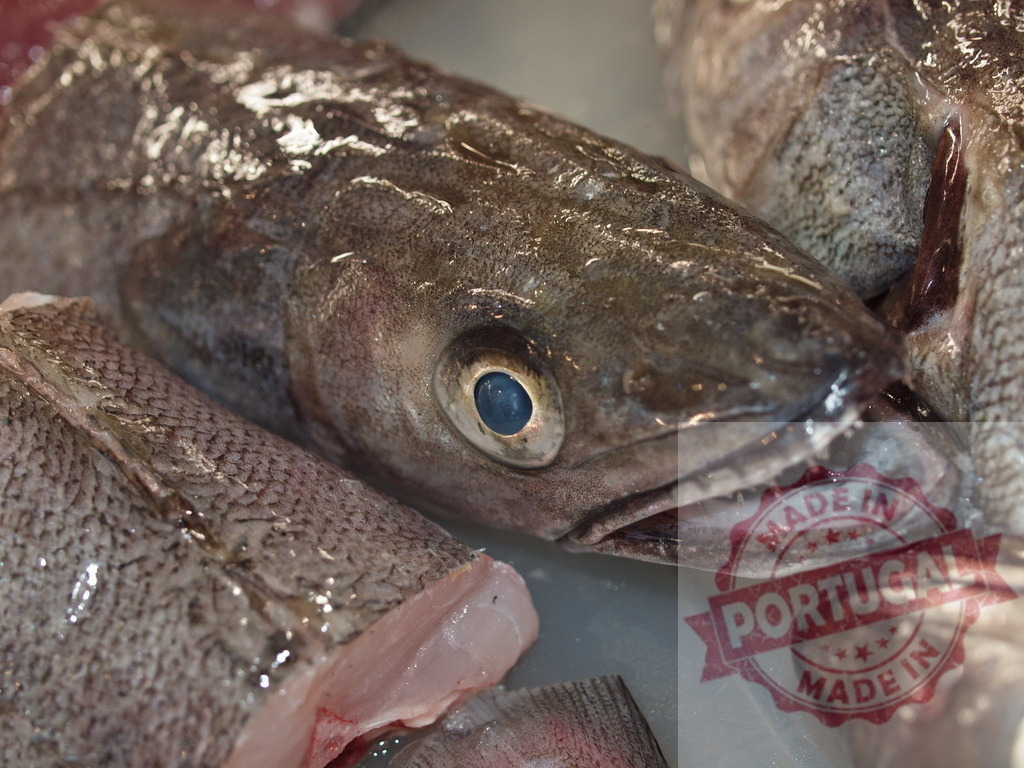 Fresh hake fish whole and sliced ready for market | Fresh hake fish head and body sections, showing scales and open mouth - Realized with Pictrs.com