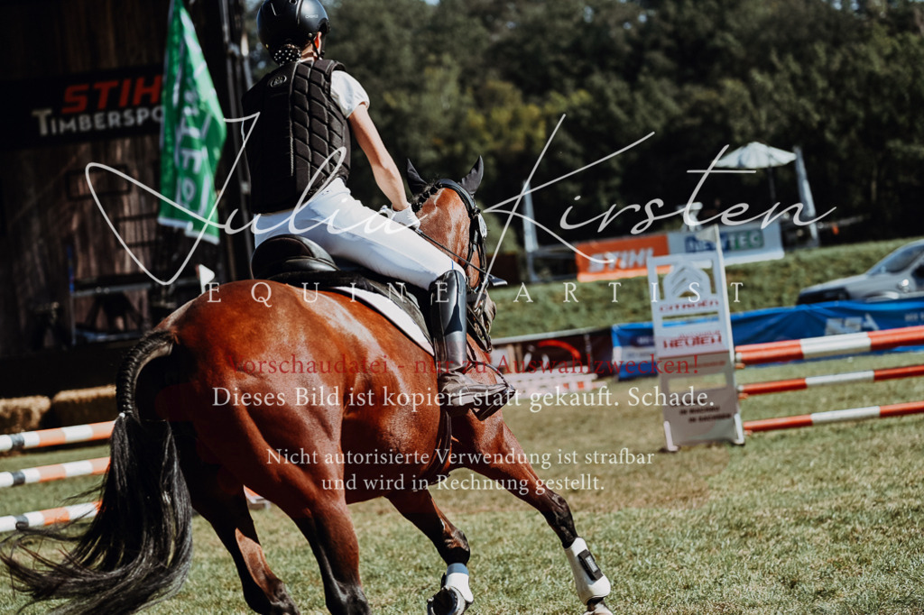 DSC_6812 | Pferde- und Turnierfotografie in Westsachsen. Pferdeportraits, Auftragszeichnungen und intuitive Kunst.