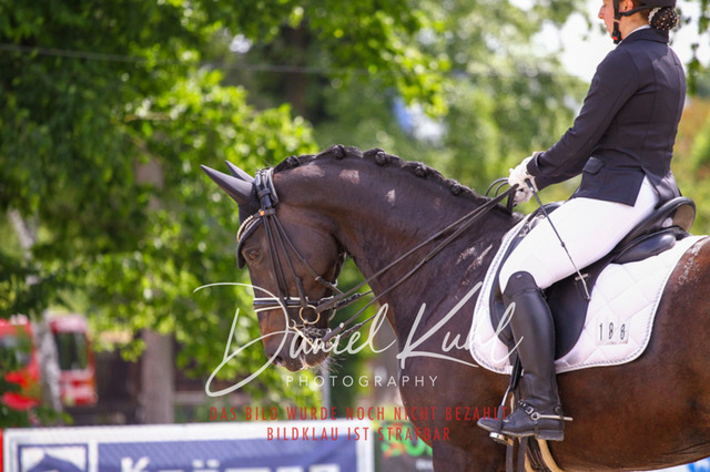 DKP41025 | Turnierfotos kaufen im Webshop von Daniel Kuhl Photography – entdecke professionelle Reitsportfotos aus Turnieren & Events. Hochwertige Turnierbilder online bestellen & sichern. Jetzt Fotos von Reitsportturnieren kaufen!