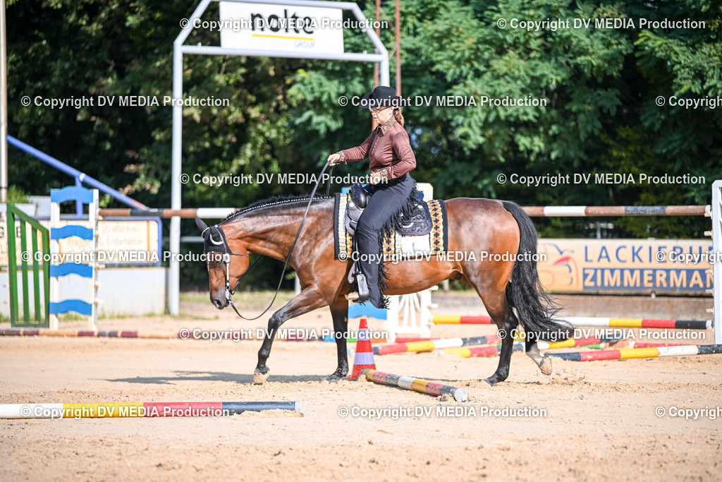 ZS2_3450 | dv-media-shop - Realisiert mit Pictrs.com