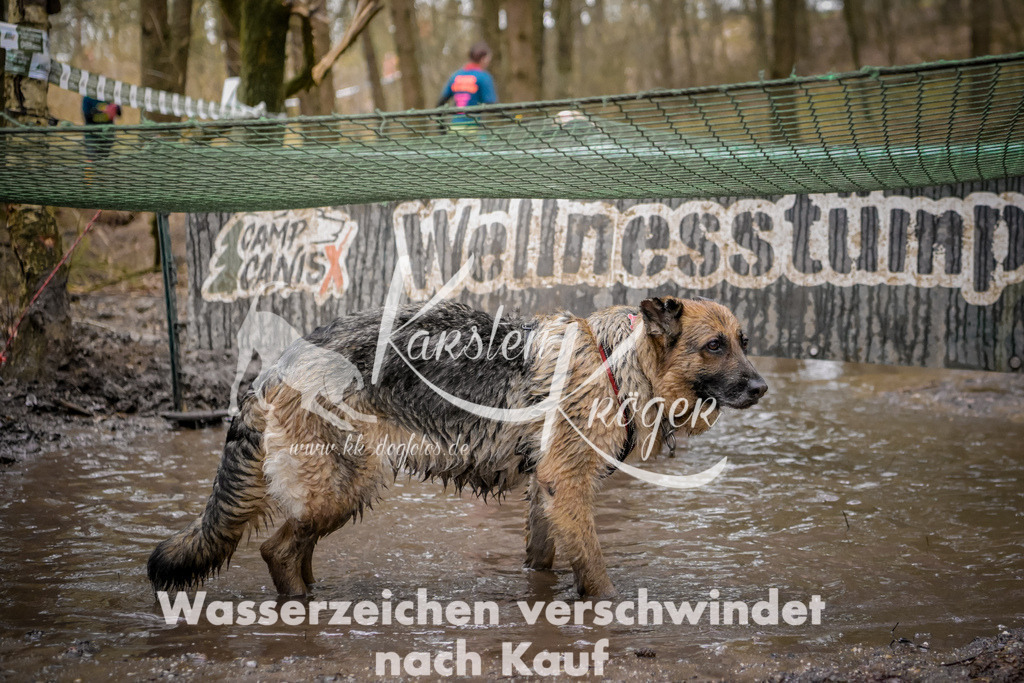 0916_ZZ97052 | kk-dogfotos