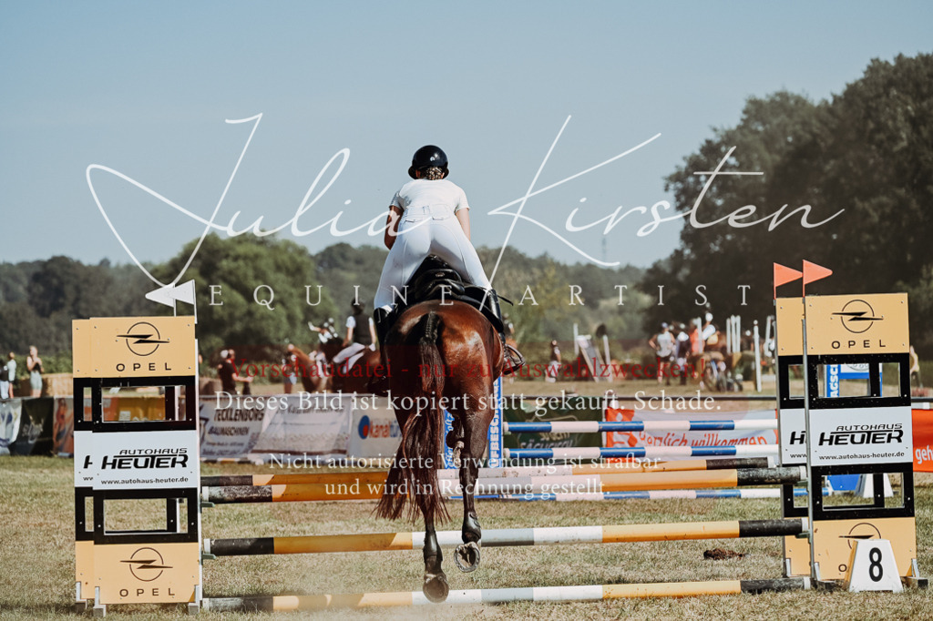 DSC_9997 | Pferde- und Turnierfotografie in Westsachsen. Pferdeportraits, Auftragszeichnungen und intuitive Kunst.