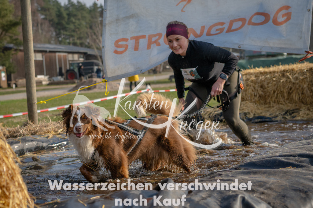 _ZZ94115 | kk-dogfotos