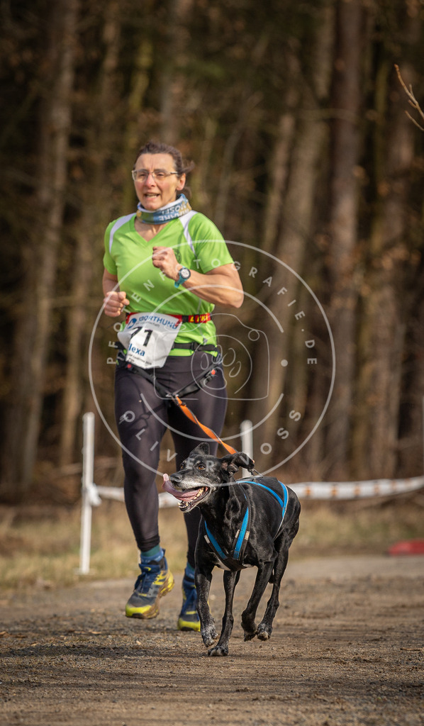 DV3A3714 | Hundefotografie, Tierfotograf, Pfotenfotografie, Fotoshooting Hund, Hunde Portrait, Hundesport, Hundeportraits, Heideshooting, Hunde, Sportfotograf, Hundefotograf, Turnierhundsport, THS,  - Realisiert mit Pictrs.com