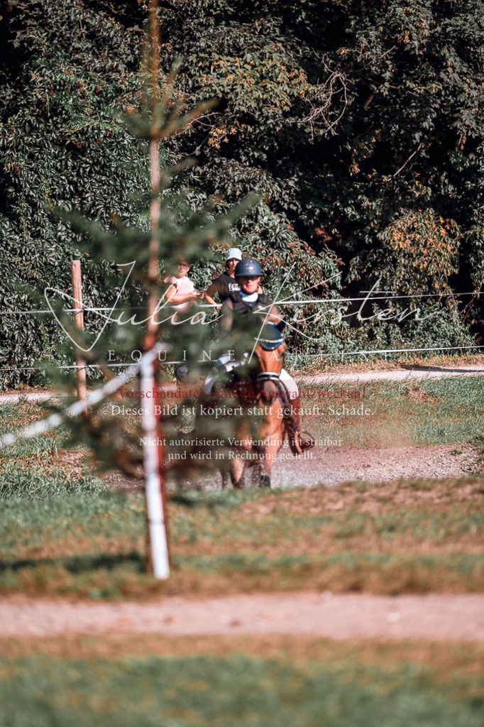 DSC_0799 | Pferde- und Turnierfotografie in Westsachsen. Pferdeportraits, Auftragszeichnungen und intuitive Kunst.