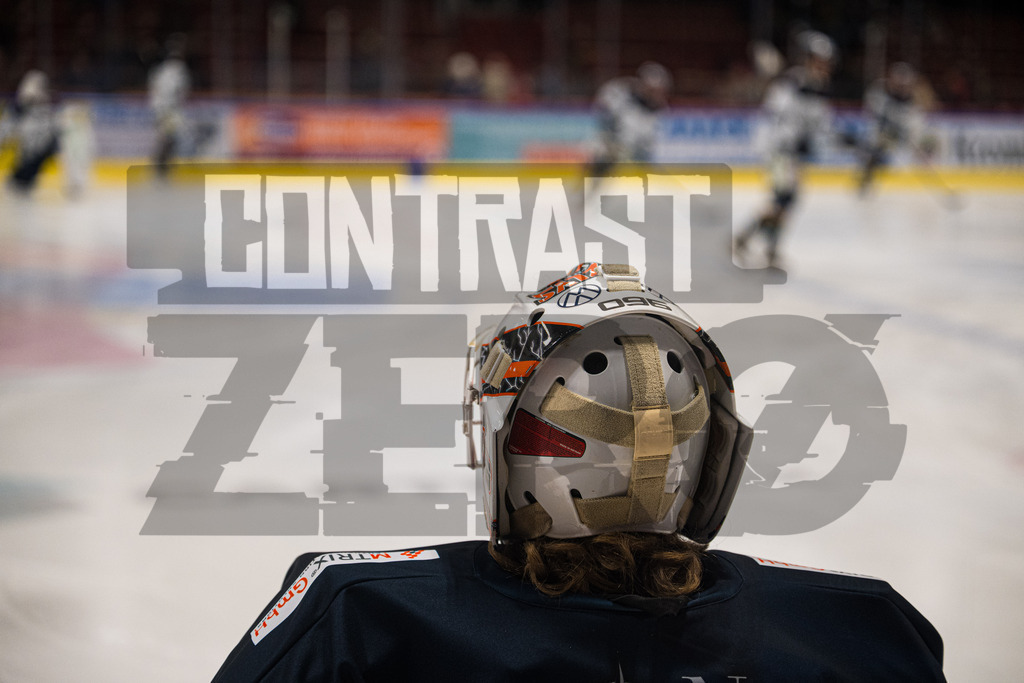 Eishockey I Herren I Saison 2025-2026 I Regionalliga Nord I Adendorfer EC - Harzer Falken | CONTRAST ZERØ MEDIA - Realisiert mit Pictrs.com