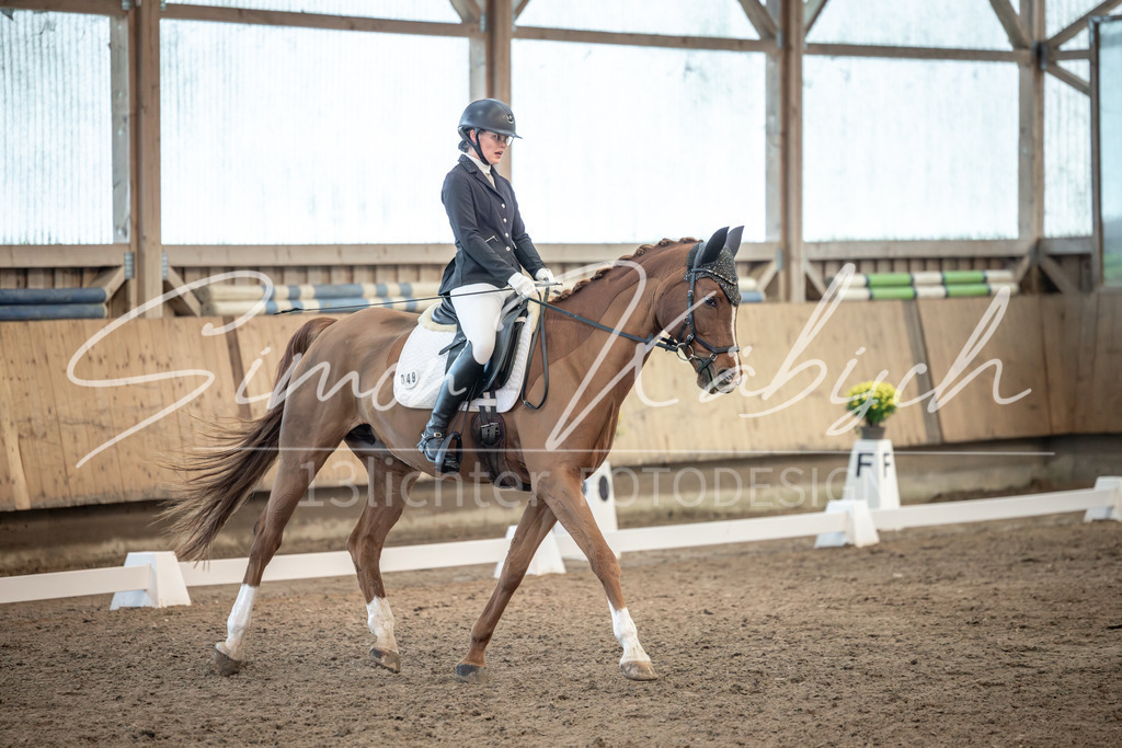 20251011-_3LI6003 | Tierfotografie Pferde, Hunde, Katzen, Haustiere.
Turnierfotografie Reitturniere, Reiten, Springreiten, Dressur in Hanau, dem Main-Kinzig-Kreis und dem Rhein-Main- Gebiet um Frankfurt