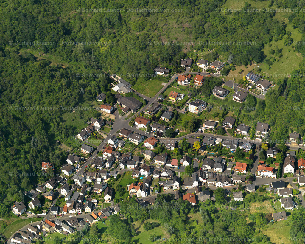 3120768 | Leubsdorf
