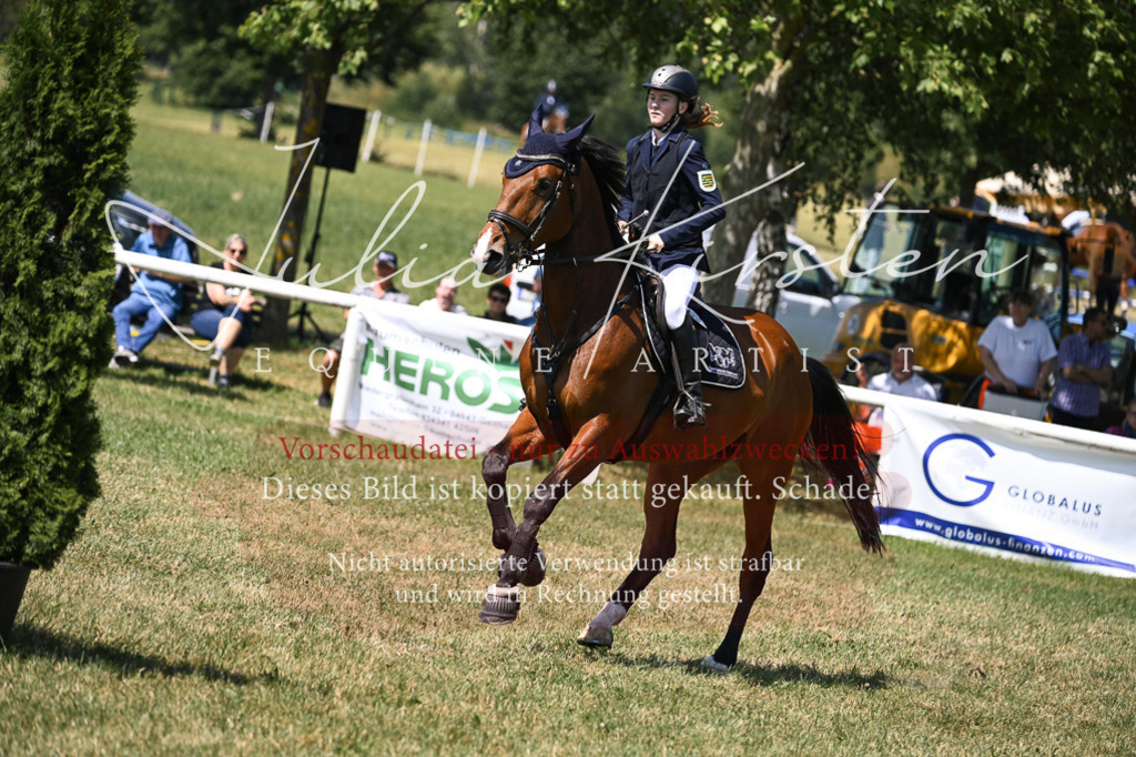 DSC_0135 | Pferde- und Turnierfotografie in Westsachsen. Pferdeportraits, Auftragszeichnungen und intuitive Kunst.