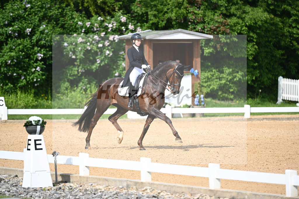 Giner_Donna Erika_12241647 | hf-fotografie - Realisiert mit Pictrs.com