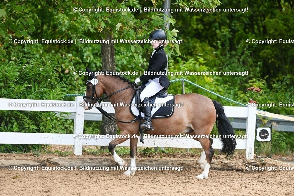 20230716_10-2_Reiter-WB Schritt - Trab - Galopp_0148 | equistock