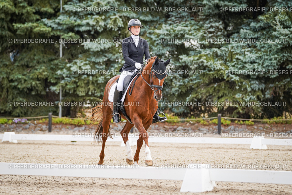 DSC01256 | Pferdegrafie