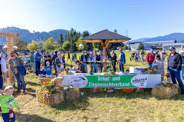 SchaZie Tag | Bildershop von pixelworld.at - Realisiert mit Pictrs.com