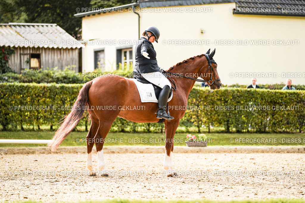 DSC01306 | Pferdegrafie