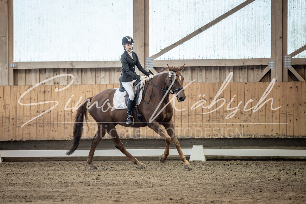 20251011-_3LI5810 | Tierfotografie Pferde, Hunde, Katzen, Haustiere.
Turnierfotografie Reitturniere, Reiten, Springreiten, Dressur in Hanau, dem Main-Kinzig-Kreis und dem Rhein-Main- Gebiet um Frankfurt