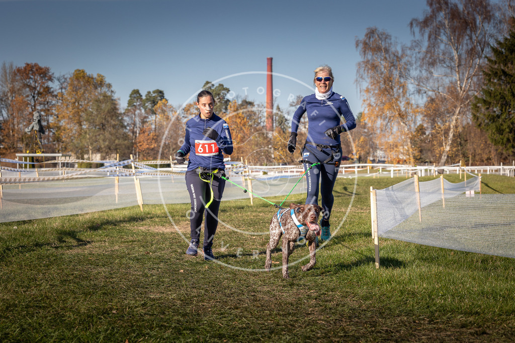 CaniXpix_0L8A8677 | Hundefotografie, Tierfotograf, Pfotenfotografie, Fotoshooting Hund, Hunde Portrait, Hundesport, Hundeportraits, Heideshooting, Hunde, Sportfotograf, Hundefotograf, Turnierhundsport, THS,  - Realisiert mit Pictrs.com
