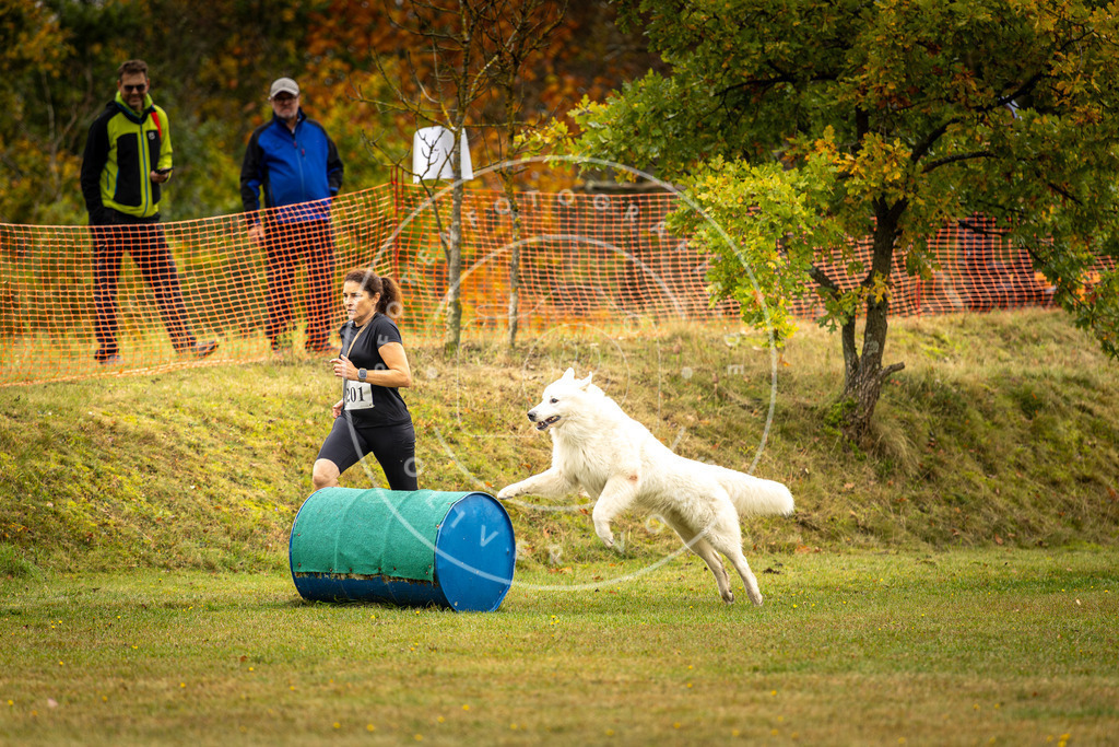 Pfotenfotografie_DV3A2445 | Hundefotografie, Tierfotograf, Pfotenfotografie, Fotoshooting Hund, Hunde Portrait, Hundesport, Hundeportraits, Heideshooting, Hunde, Sportfotograf, Hundefotograf, Turnierhundsport, THS,  - Realisiert mit Pictrs.com