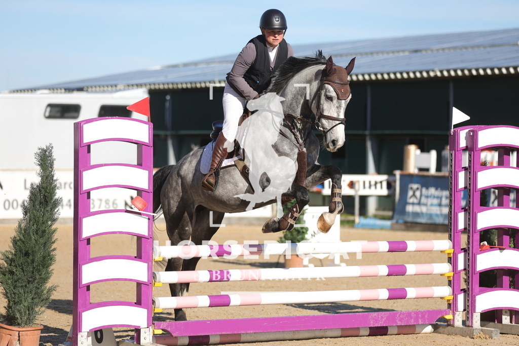 0P6A6532 | Willkommen bei Brunnmayr - Design & Fotografie – Ihrem Spezialisten für Reitturniere und Pferdeveranstaltungen in Oberösterreich, Salzburg und Bayern! Seit über 17 Jahren sind wir leidenschaftlich dabei.