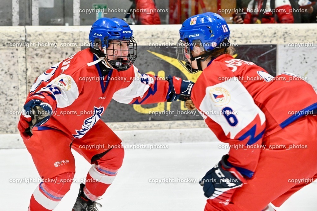 Z9B_7754 | hockey sports photos, Pressefotos, Sportfotos, hockey247, win 2day icehockeyleague, Handball Austria, Floorball Austria, ÖVV, Kärntner Eishockeyverband, KEHV, KFV, Kärntner Fussballverband, Österreichischer Volleyballverband, Alps Hockey League, ÖFB, 