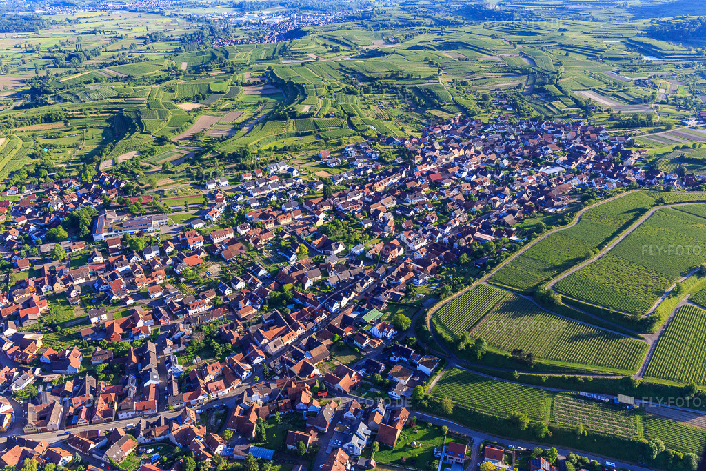 Luftbild: Ortsansicht aus Norden in Eichstetten am Kaiserstuhl im Bundesland Baden-Württemberg in Deutschland. Foto: IMG_147786.jpg vom 30.05.2025 durch Werner Riehm/FLY-FOTO.de