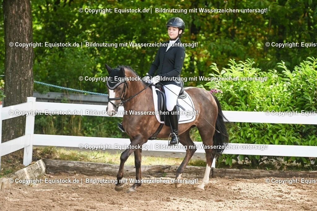 20230716_10-1_Reiter-WB Schritt - Trab - Galopp_0176 | equistock