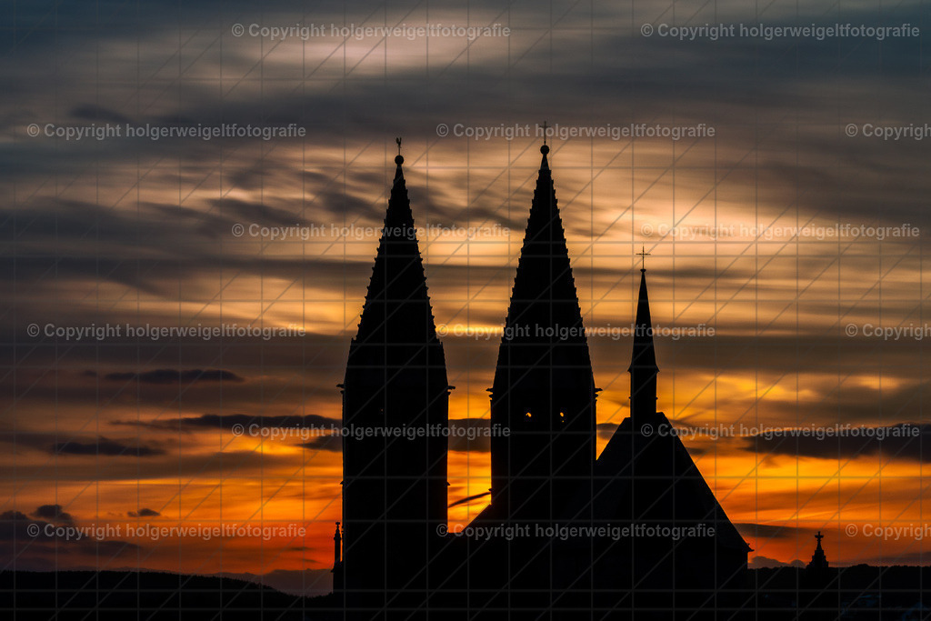 20240821200919D75_5634 | Kaufen sie online außergewöhnliche Fotografien auf Leinwand Acrylglas Fotoprint Aludibond von holgerweigeltfotografie - Realisiert mit Pictrs.com