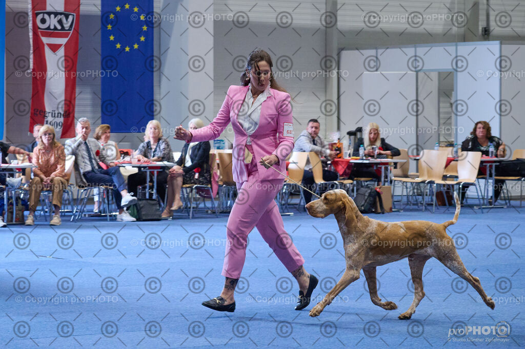 202406_ÖKV-IHA-Tulln24_DSC_5065 | proPHOTO - Realisiert mit Pictrs.com