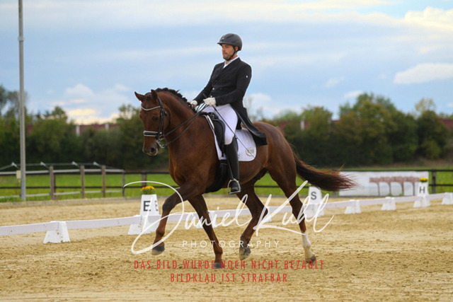 DKP44824 | Turniersportfotografie; Pferdefotografie; Dressurfotografie