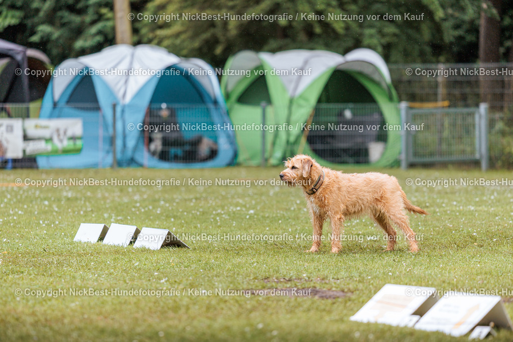 RO-Blumenthal-2026-Nickbest-Hundefotografie-3478 | Dein Hund! Dein Moment! Deine Erinnerungen! Hundefotografie in Bremen Blumenthal. Ich fange die besonderen Momente deines Vierbeiners ein – ob Indoor mit Blitzanlage oder in der freien Natur. Sicher dir dein Moment und dein Termin für eure Erinnerungen.