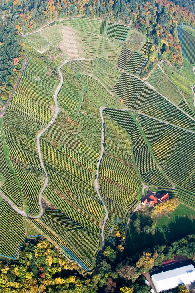 Luftbild: Weinbergs- Landschaft der Winzer- Gebiete in Achern im Bundesland Baden-Württemberg in Deutschland. Foto: IMG_13947.jpg vom 11.10.2008 durch Werner Riehm/FLY-FOTO.de