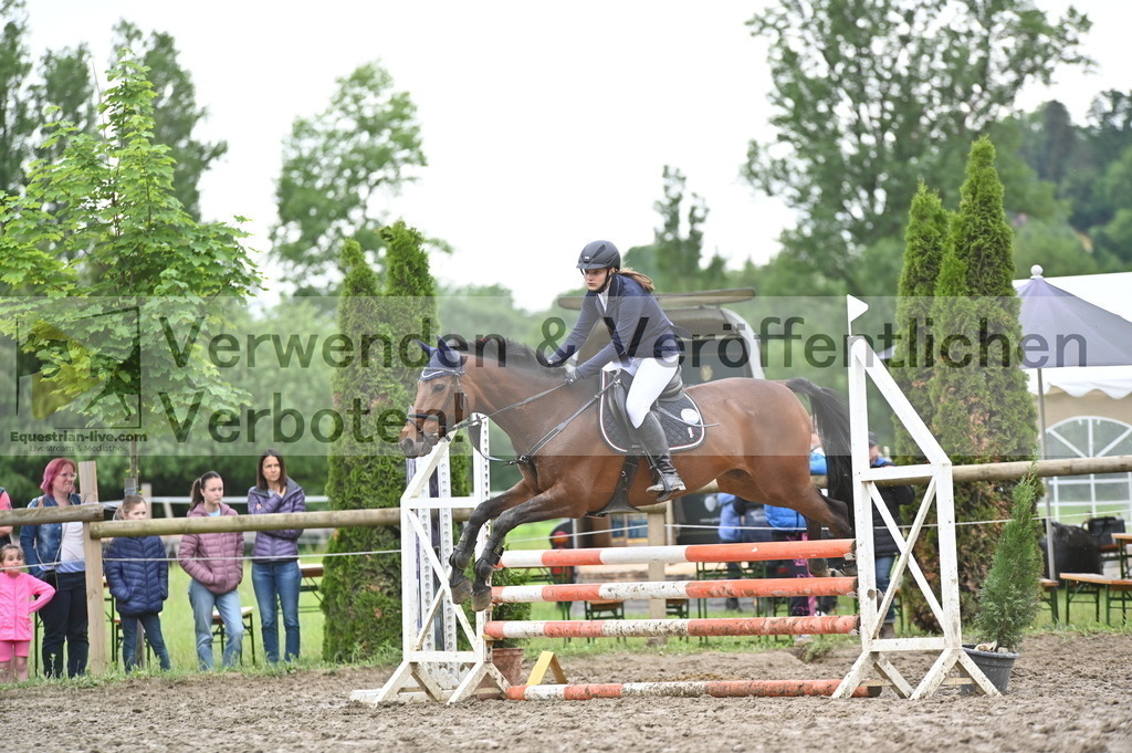 DSC_0542 | equestrian-live-com