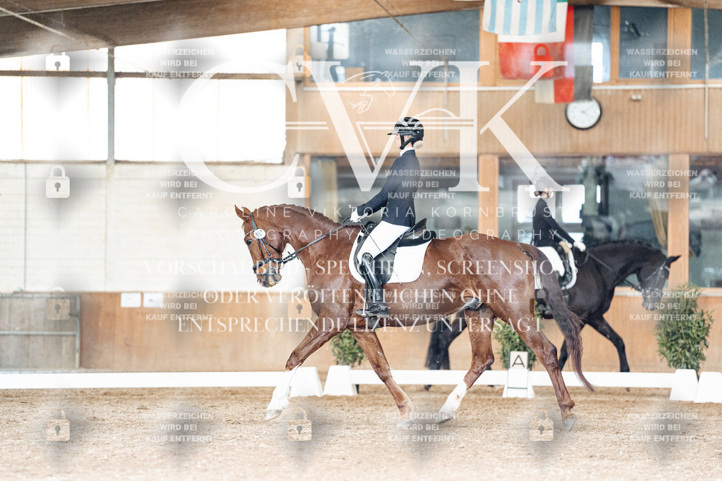 CK902400 | Turnierfotografie Pferdefotografie Trier Rheinland-Pfalz Pferdesport Reitsport Tierfotografie Sportfotografie Pferdevideo Pferdevideografie Equestrianvideography equestrianphotography  - Realisiert mit Pictrs.com
