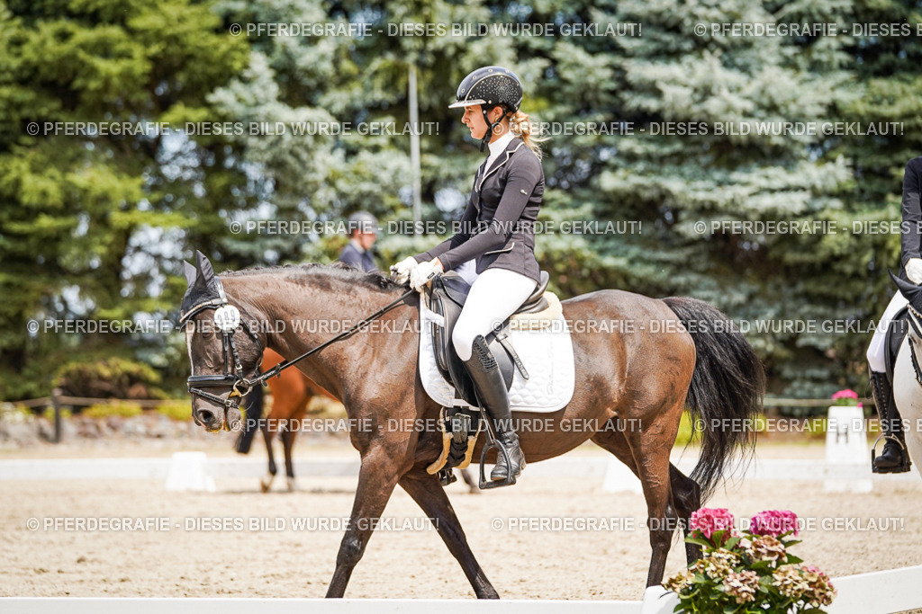 DSC03834 | Pferdegrafie