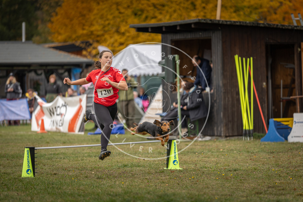 Pfotenfotografie_DV3A7264 | Hundefotografie, Tierfotograf, Pfotenfotografie, Fotoshooting Hund, Hunde Portrait, Hundesport, Hundeportraits, Heideshooting, Hunde, Sportfotograf, Hundefotograf, Turnierhundsport, THS,  - Realisiert mit Pictrs.com