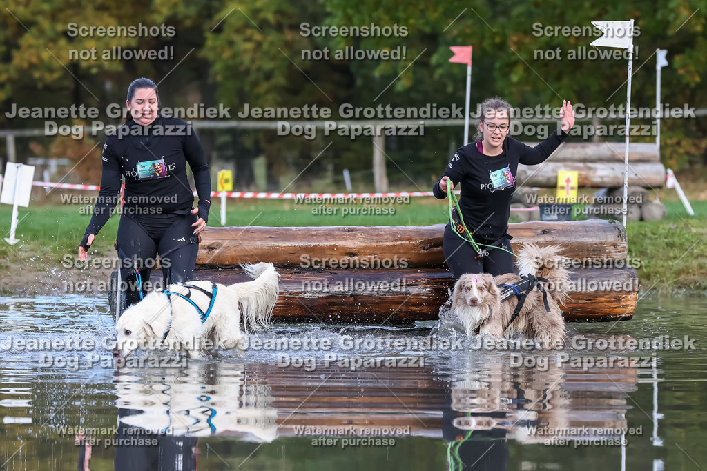 Dog Paparazzi - Strongdog 10-25-6903 | Dog Paparazzi Jeanette Grottendiek Fotografie & Videografie - Realisiert mit Pictrs.com