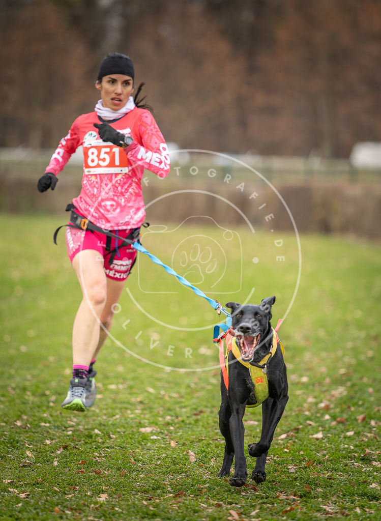 CaniXpix_DV3A6451 | Hundefotografie, Tierfotograf, Pfotenfotografie, Fotoshooting Hund, Hunde Portrait, Hundesport, Hundeportraits, Heideshooting, Hunde, Sportfotograf, Hundefotograf, Turnierhundsport, THS,  - Realisiert mit Pictrs.com