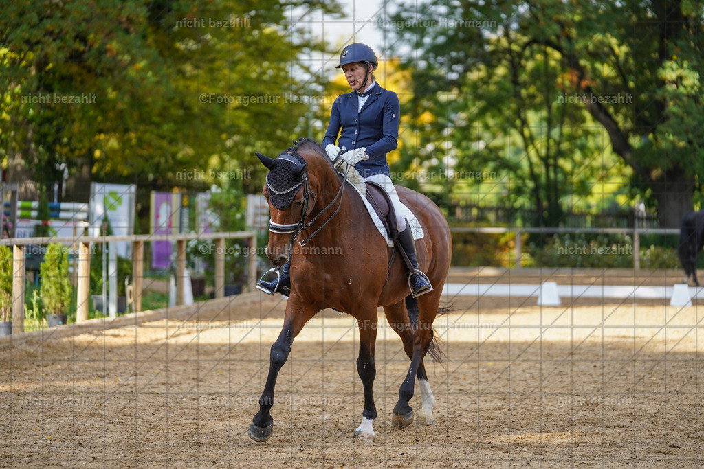 20221007-FAH09989 | Diessen am Ammersee, 2022, Dressur- und Springturnier, Reitsportbilder, Turnierfotografen Bayern, Pferdefotografen, Fotoagentur Herrmann, Turnierbilder