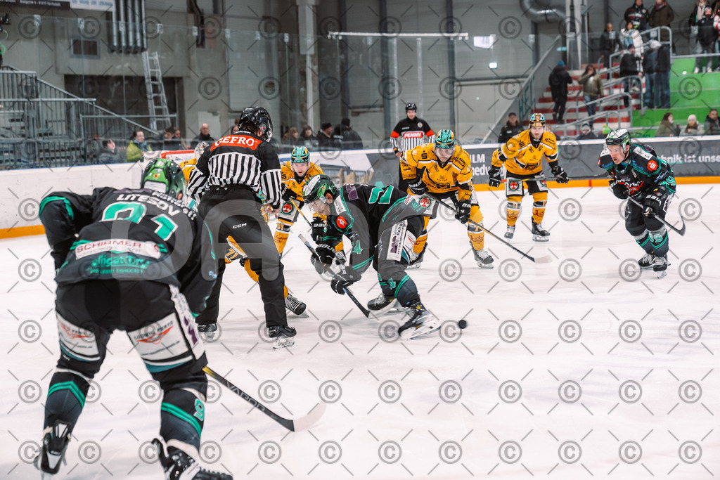 Alligators_vs_Toelz_18_11_2025-57 | Höchstadt Alligators Fotogalerie: Eishockey-Action aus Franken. Professionelle Spielfotos, Portraits & Stadionbilder zum Download. Jetzt entdecken! - Realisiert mit Pictrs.com