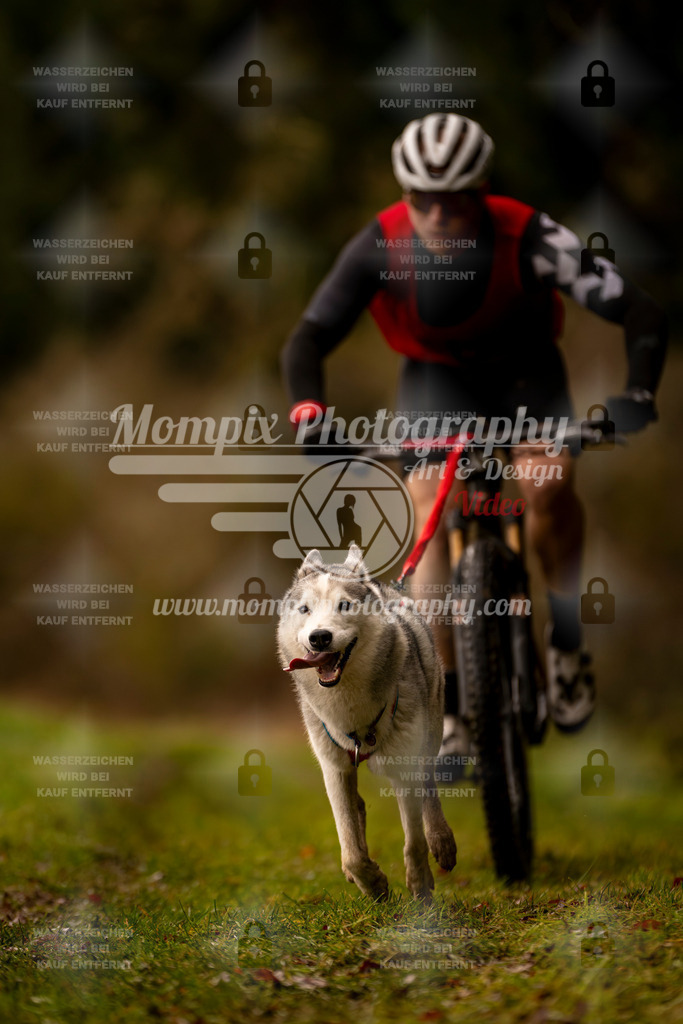 MompixPhotography_2SSTSSBW_2025_SO_Bike-65 | PayLife