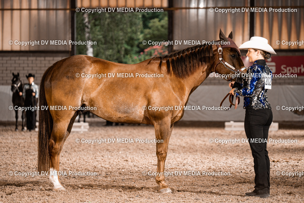 ZH200193 | dv-media-shop - Realisiert mit Pictrs.com