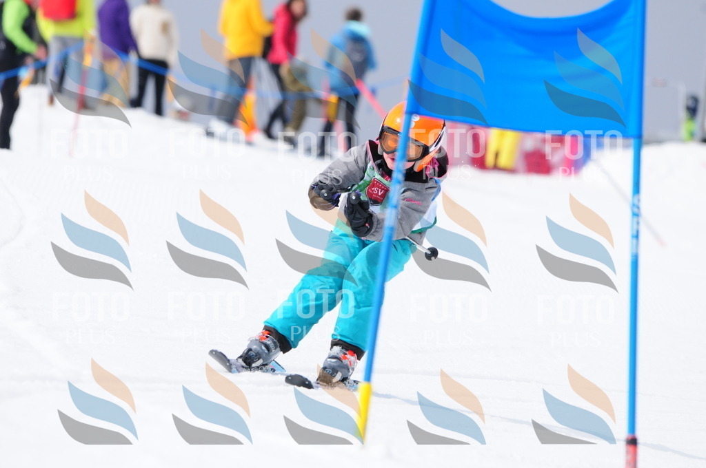 A3848 | holidayphoto