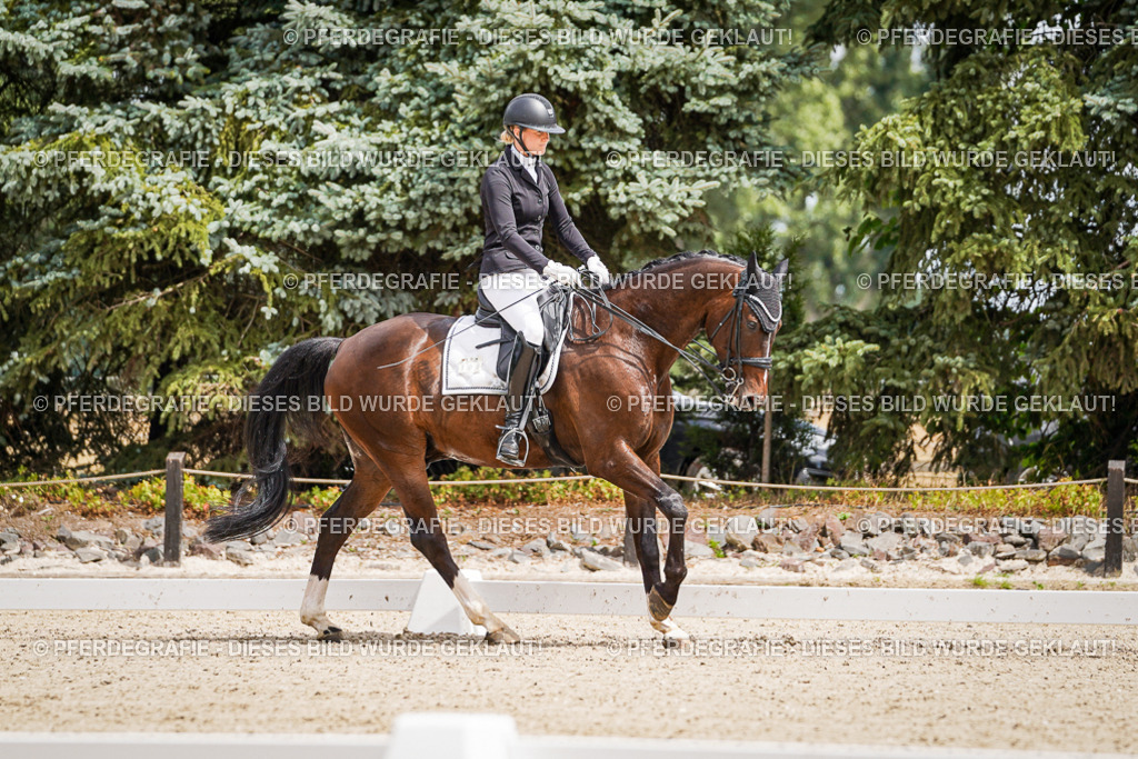 DSC03821 | Pferdegrafie