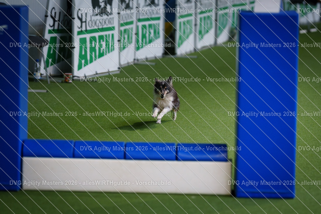 allesWIRTHgut_Tierfotografie-DVG_Agility_Masters_2026-12_34-7R508675 | Professionelle Tierfotografie in Mönchengladbach von Daniel Wirth (allesWIRTHgut). Liebevolle & natürliche Bilder von Hunden & Katzen für unvergessliche Erinnerungen.