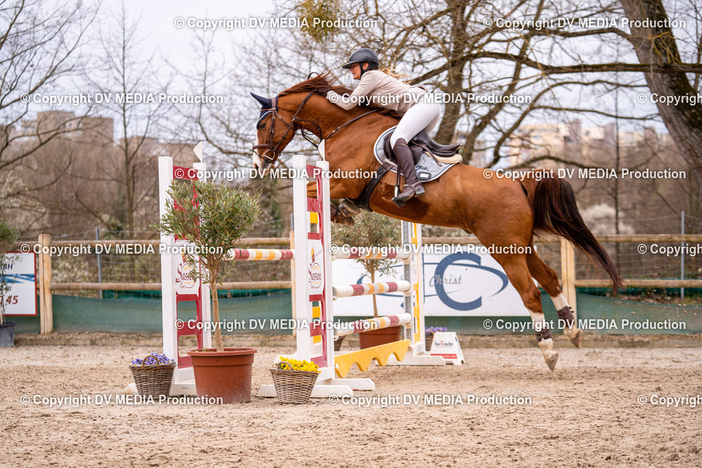 Kranichstein Tag 2-228 | dv-media-shop - Realisiert mit Pictrs.com