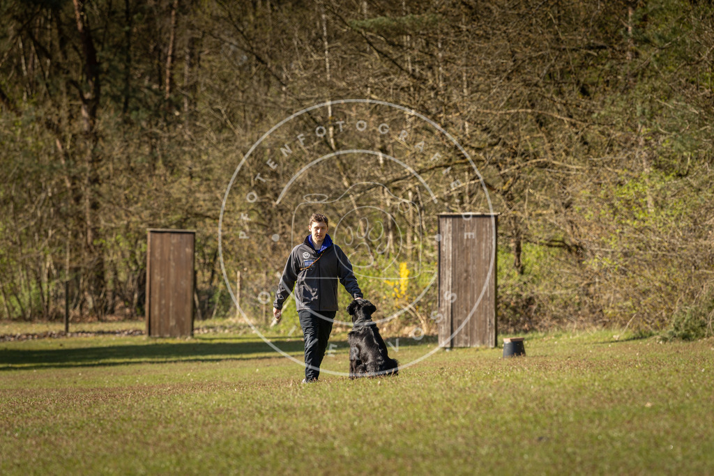 Pfotenfotografie_DV3A0176 | Hundefotografie, Tierfotograf, Pfotenfotografie, Fotoshooting Hund, Hunde Portrait, Hundesport, Hundeportraits, Heideshooting, Hunde, Sportfotograf, Hundefotograf, Turnierhundsport, THS,  - Realisiert mit Pictrs.com