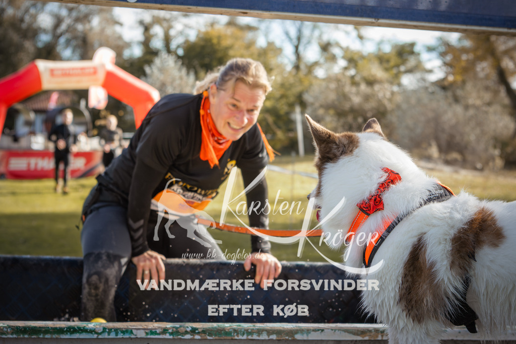 1316_ZZ99838-2 | kk-dogfotos