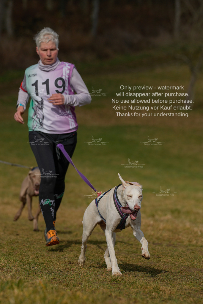 Sa_CC2-105 | stephaniefillaphotographie - Realisiert mit Pictrs.com