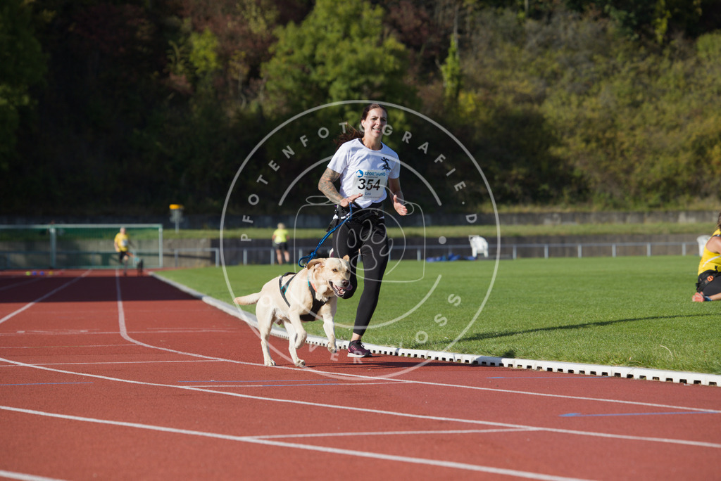 0L8A0050 | Hundefotografie, Tierfotograf, Pfotenfotografie, Fotoshooting Hund, Hunde Portrait, Hundesport, Hundeportraits, Heideshooting, Hunde, Sportfotograf, Hundefotograf, Turnierhundsport, THS,  - Realisiert mit Pictrs.com