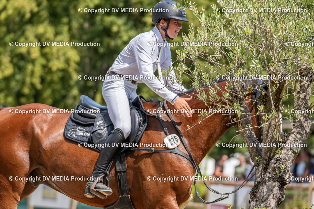 Hessische Tag 3-374 | dv-media-shop - Realisiert mit Pictrs.com