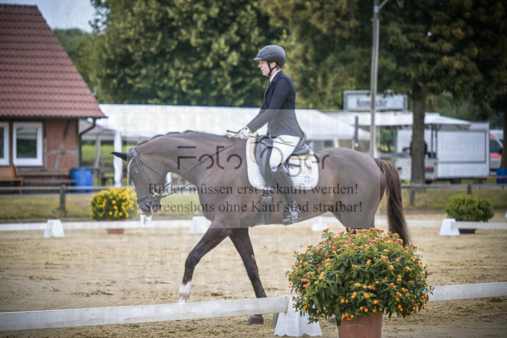 DOS_2230 | Entdecke hochwertige Reitturnierfotos von Foto Oger. Professionell, emotional und authentisch – jetzt Lieblingsmomente im Shop bestellen.Deutschlandweite Turnierfotografie. - Realisiert mit Pictrs.com